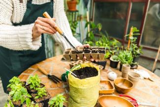 Person tending to some plants